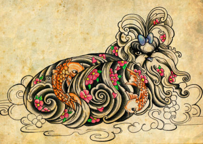 Shih Tzu